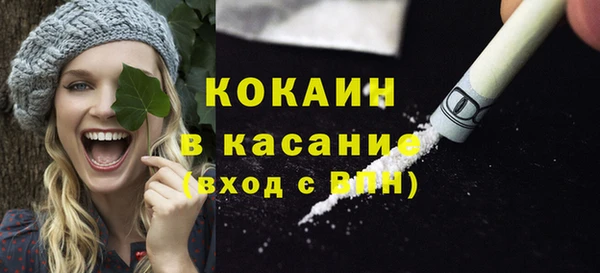 шишки Алексин