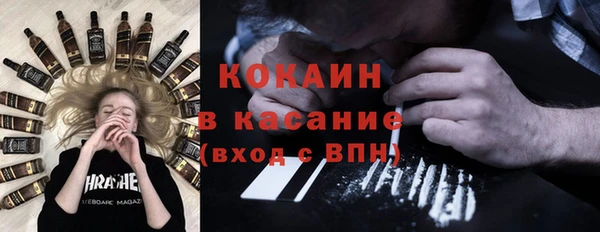 шишки Алексин