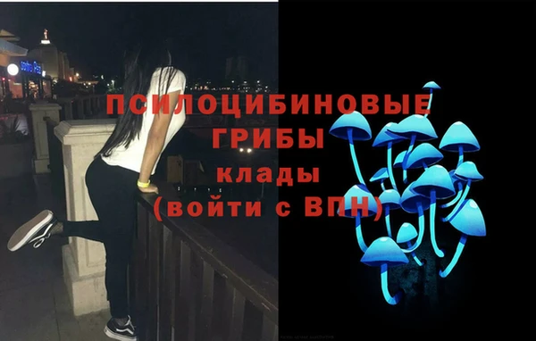 шишки Алексин