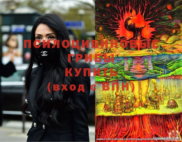 PSILOCYBIN Алзамай