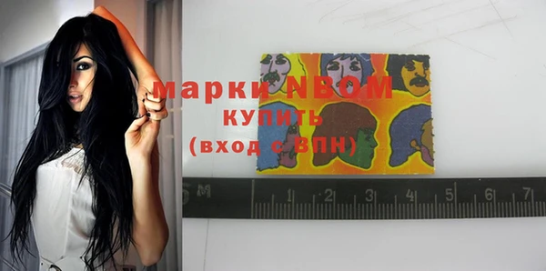 PSILOCYBIN Алзамай