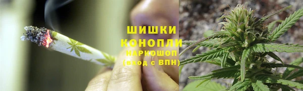 PSILOCYBIN Алзамай