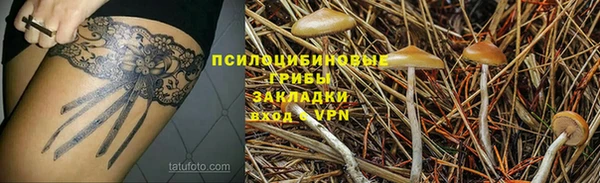 гидра Алексеевка
