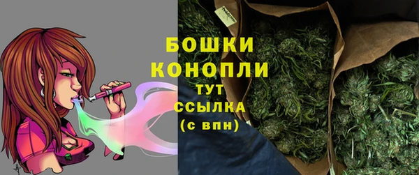 гидра Алексеевка