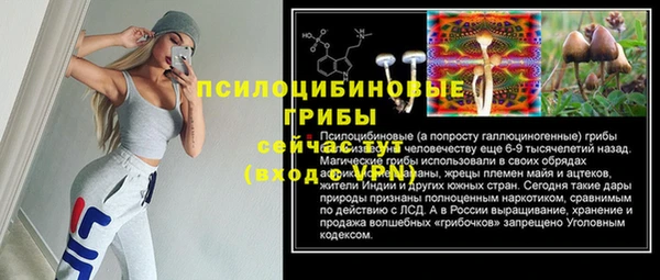 шишки Алексин