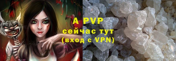 шишки Алексин