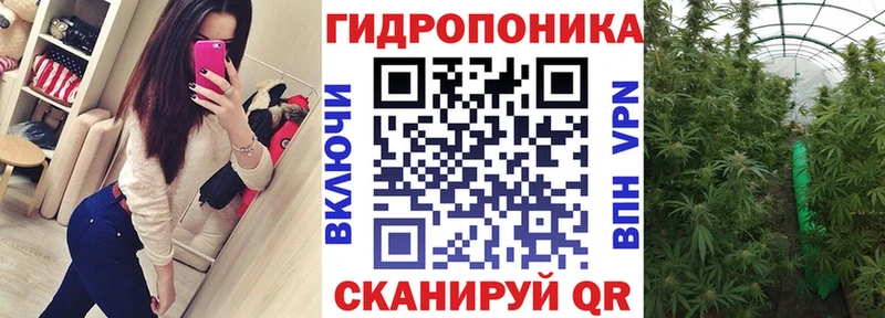 Бошки Шишки семена наркошоп сайты даркнета телеграм Куровское OMG ССЫЛКА